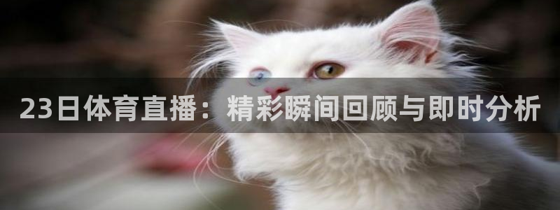 so米足球直播免费观看：23日体育直播：精彩瞬间回顾与即时分析