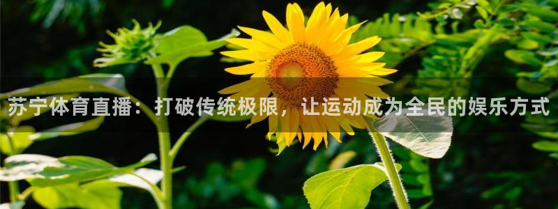 足球直播so米：苏宁体育直播：打破传统极限，让运动成为全民的娱乐方式