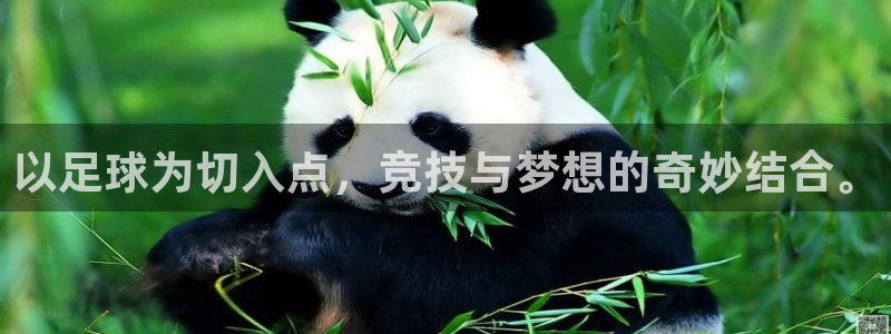so米直播看球：以足球为切入点，竞技与梦想的奇妙结合。