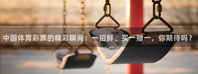 so米体育官网：中国体育彩票的精彩瞬间：一招鲜、买一赠一，你期待吗？