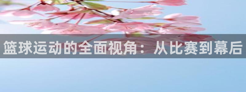 so米体育篮球直播：篮球运动的全面视角：从比赛到幕后