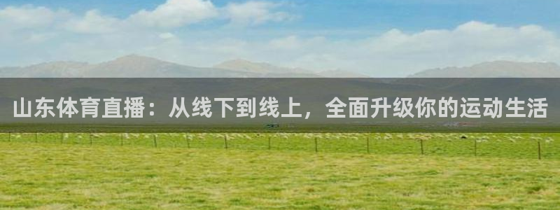 so米体育直播平台：山东体育直播：从线下到线上，全面升级你的运动生活