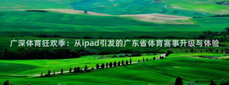 so米体育比赛视频直播：广深体育狂欢季：从ipad引发的广东省体育赛事升级与体验
