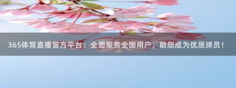 so米体育直播足球：365体育直播官方平台：全面服务全国用户，助您成为优质球员！